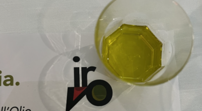 LA SICILIA DELL’OLIO IN TRASFERTA A VERONA: TUTTO PRONTO PER SOL2EXPO – 24 aziende in rappresentanza dei sapori dell’isola